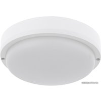 Уличный накладной светильник Rexant 607-203