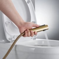 Гигиенический душ Shevanik S4005G-1