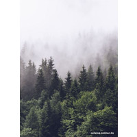 Фотообои ФабрикаФресок Туманный лес 192280 (200x280)