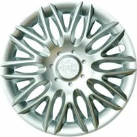 Набор колпаков на диски Lion Пауэр 13" карбон пруж. LW1318 (2шт, серебристо-черный) в Витебске