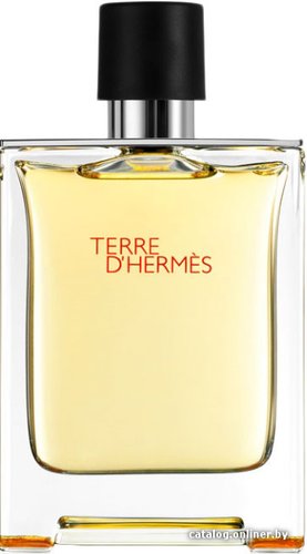 Hermes Terre d'Hermes EdT (100 мл)