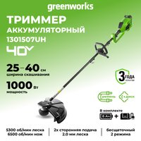 Триммер Greenworks GD40BC 1301507UH (с 1-им АКБ) в Орше