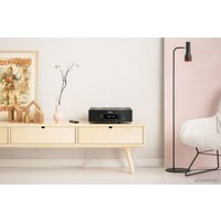 Интегральный усилитель Hegel H390 (черный)