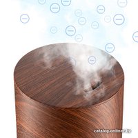 Увлажнитель воздуха Redmond (Редмонд) RHF-3307 (вишня)