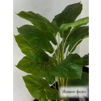 Искусственное растение Merry Bear Home Decor Филодендрон AZ01140