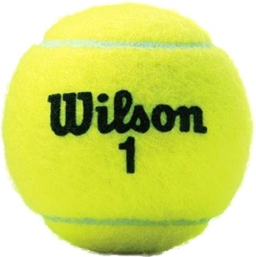 

Набор теннисных мячей Wilson Championship Extra Duty WRT100101 (3 шт)