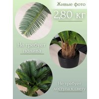 Искусственное растение Merry Bear Home Decor Пальма Саговая Цикас AR23065