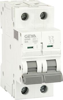 

Выключатель автоматический GEYA GYM9-2P-25B 2P 25A B 6kA 2M GYM92P25B