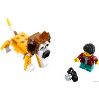 Конструктор LEGO Creator 31116 Домик на дереве для сафари