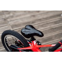 Детский велосипед Lenjoy Sports Shadow 16 LS16-12WH (красный)