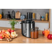 Соковыжималка Gotze & Jensen JM501X