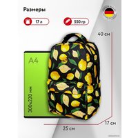 Городской рюкзак Steiner ST1-9