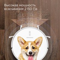 Робот-пылесос Redmond (Редмонд) RV-R640S WiFi (корги)
