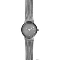 Наручные часы Skagen SKW2700