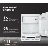 Однокамерный холодильник Zigmund & Shtain BR 07 X