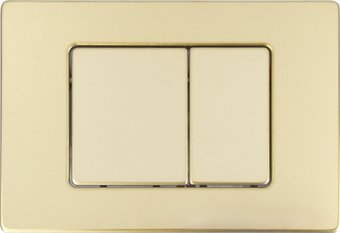 Панель смыва Oliveeka 011-GD (золото)