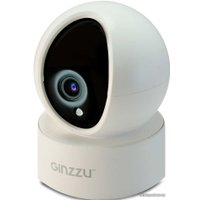 IP-камера Ginzzu HWD-2301A