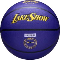 Баскетбольный мяч Wilson NBA Team City Collector LA Lakers WZ4033814XB7 (7 размер) в Лиде