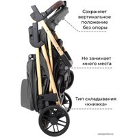 Коляска прогулочная «книга» Baby Tilly Eco T-166 (serious grey)