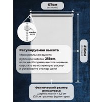 Рулонные шторы Sundays Home LM 167-01 67х215 (белый)