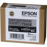 Картридж Epson C13T580900