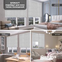 Рулонные шторы Sundays Home LM 97-08 61х160 (светло-серый)