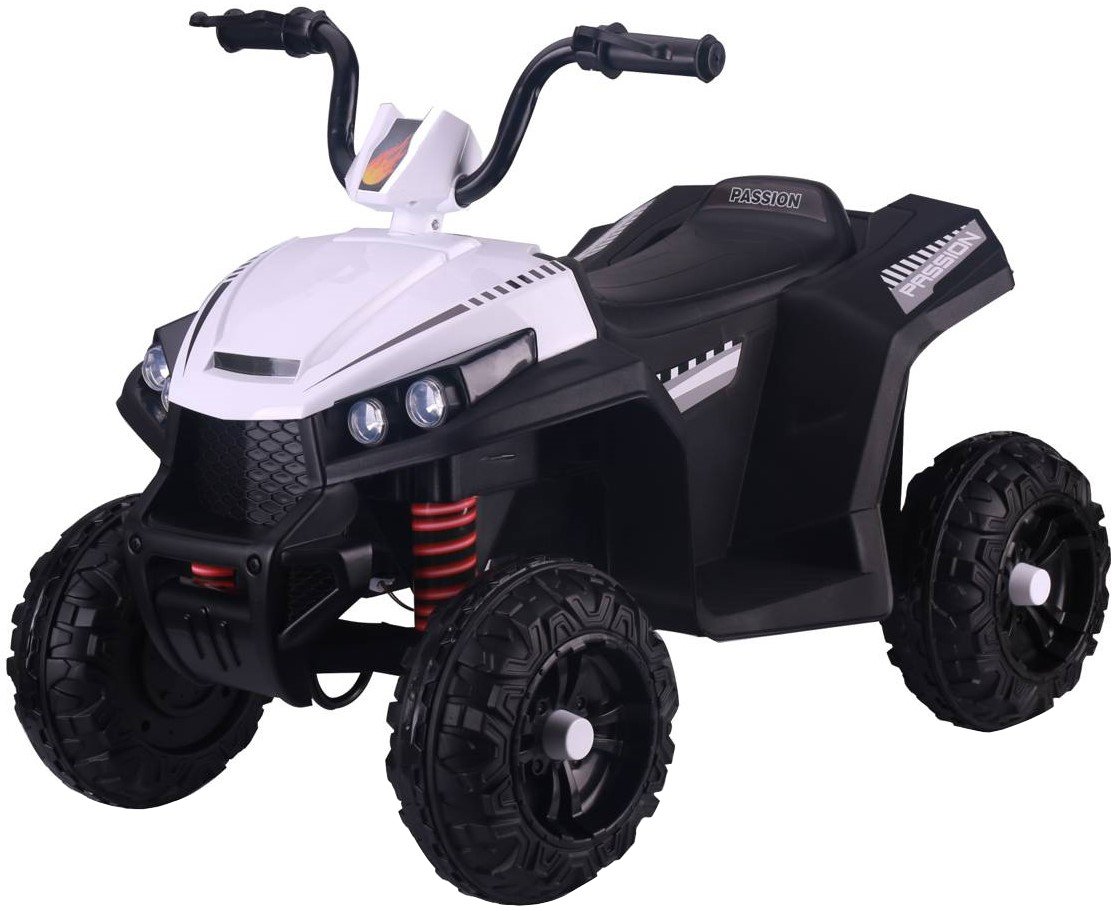 

Электроквадроцикл RiverToys T111TT (белый)