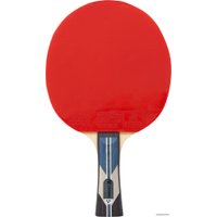 Ракетка для настольного тенниса TORNEO Tour Plus TI-B3000