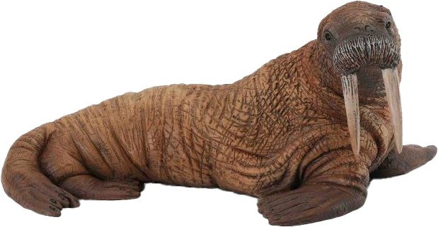 

Фигурка Collecta Морж 88569b