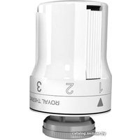 Термоголовка Royal Thermo RTE 50.030