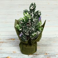 Ель Серпантин Хвойный аромат 0.2 м 848-031