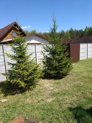 2-комн. квартира — Минская область, Беларусь