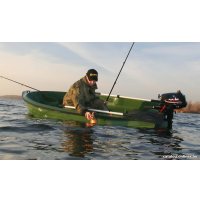 Лодочный мотор Parsun T3.6 BMS