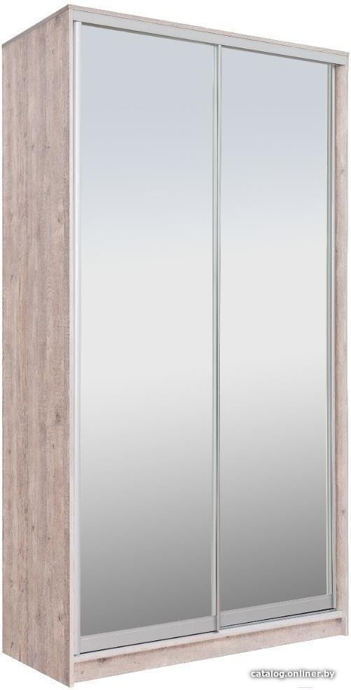 Шкаф-купе Рэйгрупп 158450 SSX Elgon РГ-10.04 (сосна натуральная/хром)