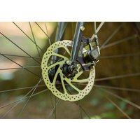 Велосипед Shulz Morning Train To Vyborg M 2024 (невский вечер)