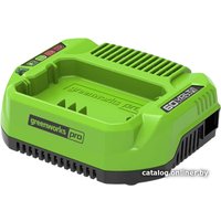 Зарядное устройство Greenworks G60UC (60В)