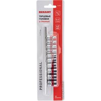Набор головок слесарных Rexant 12-8316 (10 предметов)