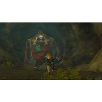  The Legend of Zelda: Tears of the Kingdom Collector's Edition для Nintendo Switch