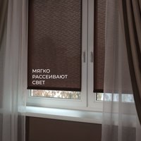 Рулонные шторы Franc Gardiner Shantung 65x160 9403218687 (шоколад)