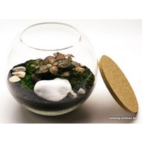 Флорариум Home Garden Маленький Шар