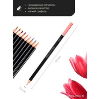 Набор цветных карандашей Pictoria Portrait CPS24P (24 шт)