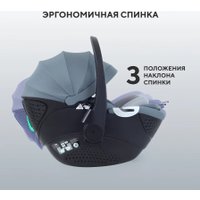 Детское автокресло Rant Aster Zero AY378 (графитовый)