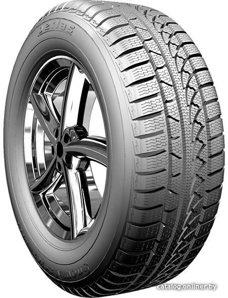 Зимние шины Petlas SnowMaster W651 235/40R18 95V