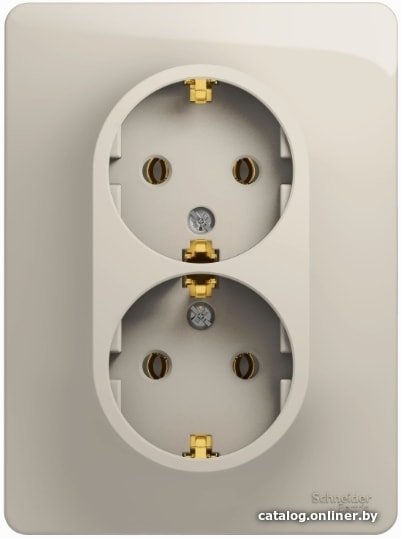 Розетка Schneider Electric GSL000924