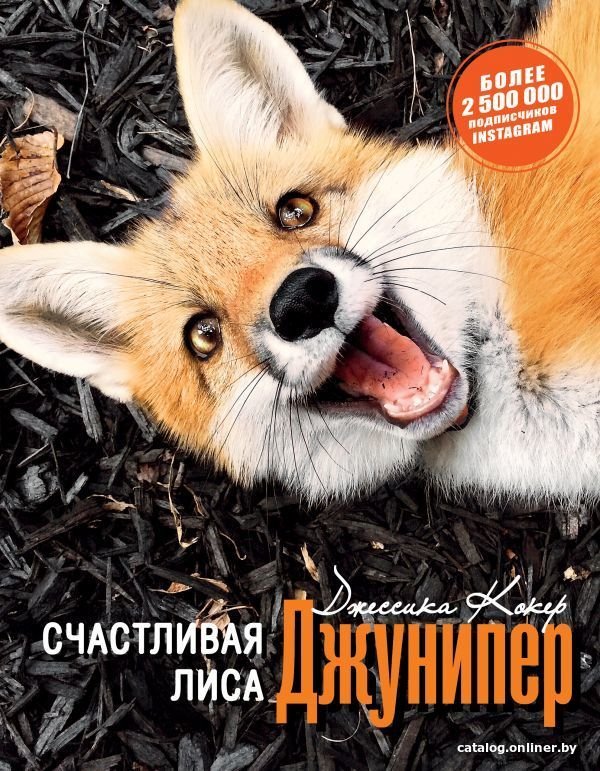 Книга издательства АСТ. Счастливая лиса Джунипер