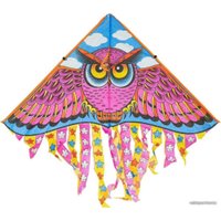 Воздушный змей Bondibon Сова ВВ4391