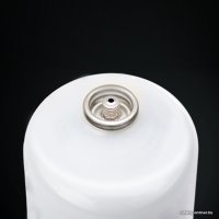 Портативный газовый гриль Napoleon TravelQ 285-1