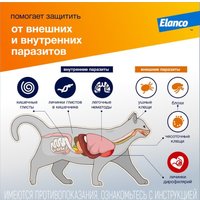 Капли от блох и клещей Elanco Адвокат для кошек весом 4-8 кг на холку от блох, клещей и гельминтов (3 пипетки)