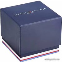 Наручные часы Tommy Hilfiger Blaze 1792028