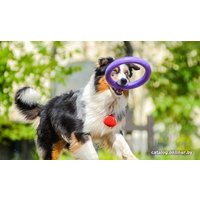 Игрушка для собак Collar Puller Midi Кольцо d 19.5 см